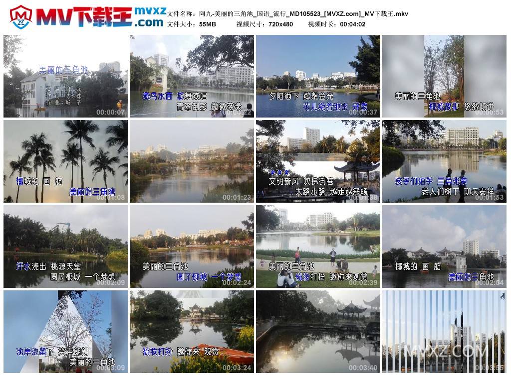 阿九-美丽的三角池_国语_流行_MD105523